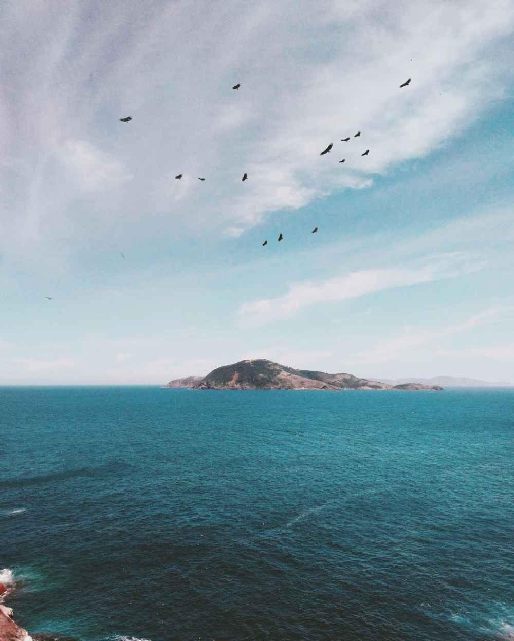 flock of birds flying over islet